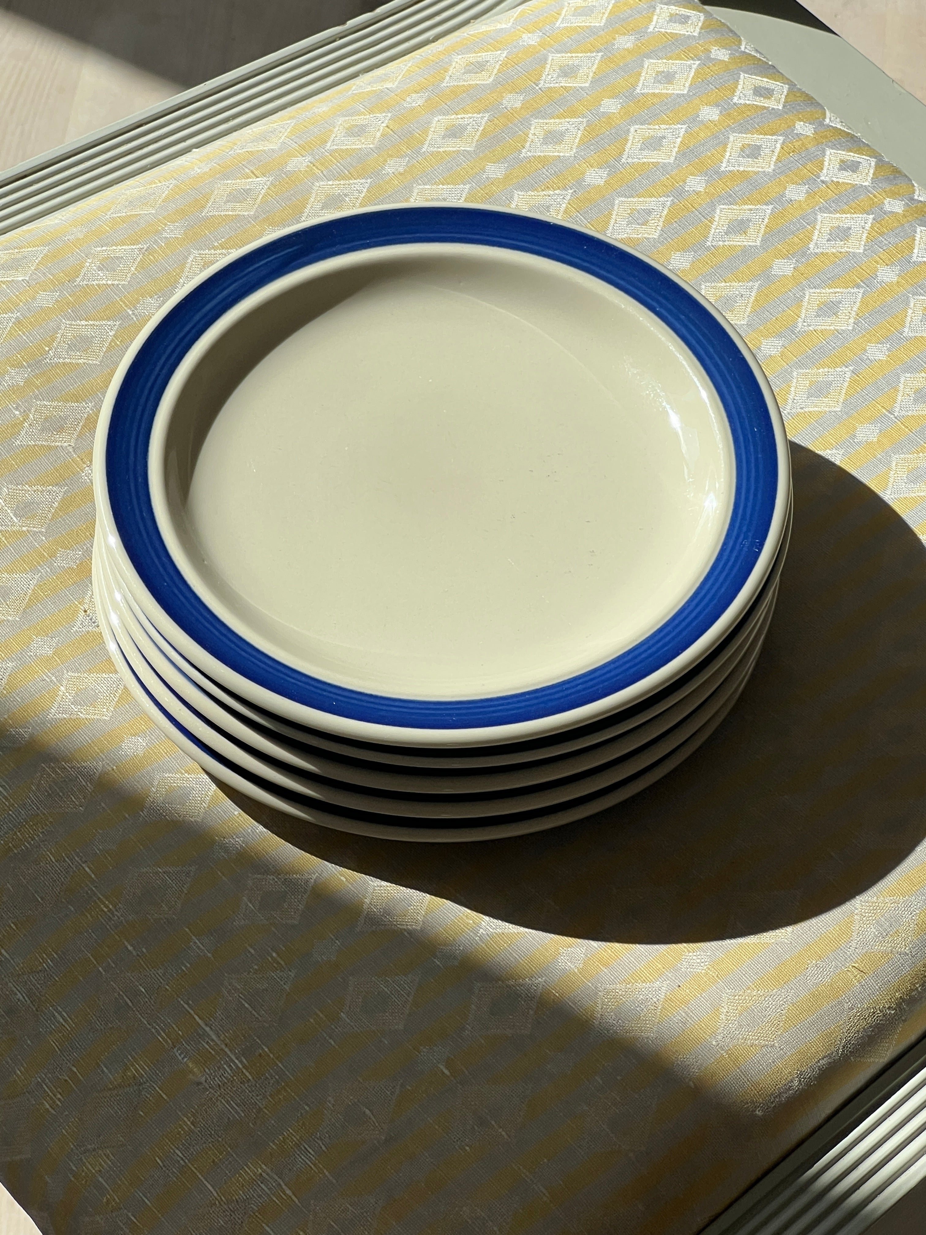 Blue striped lunch plates (10 pcs)