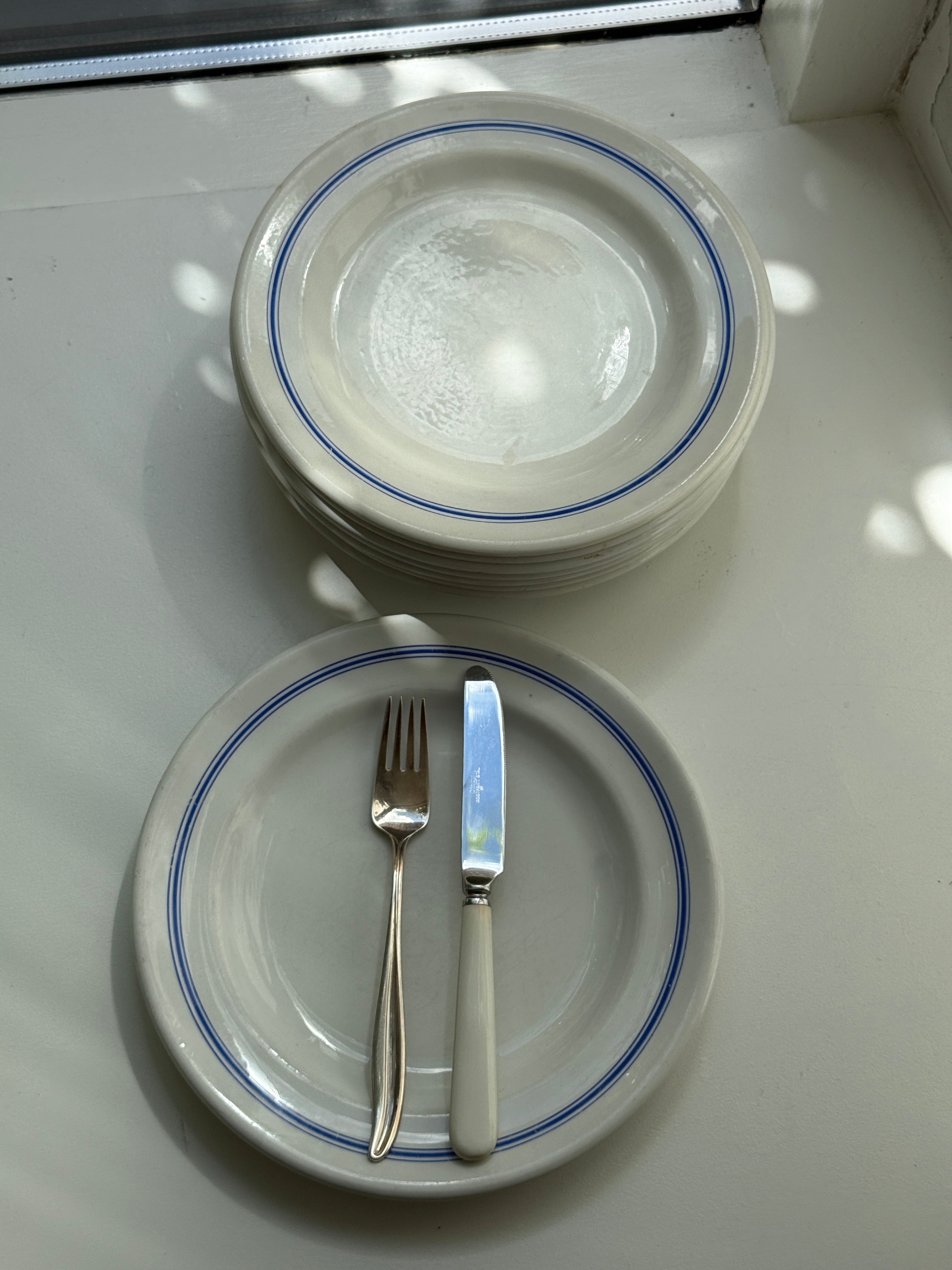 Blue striped dinner plates (6 pcs)