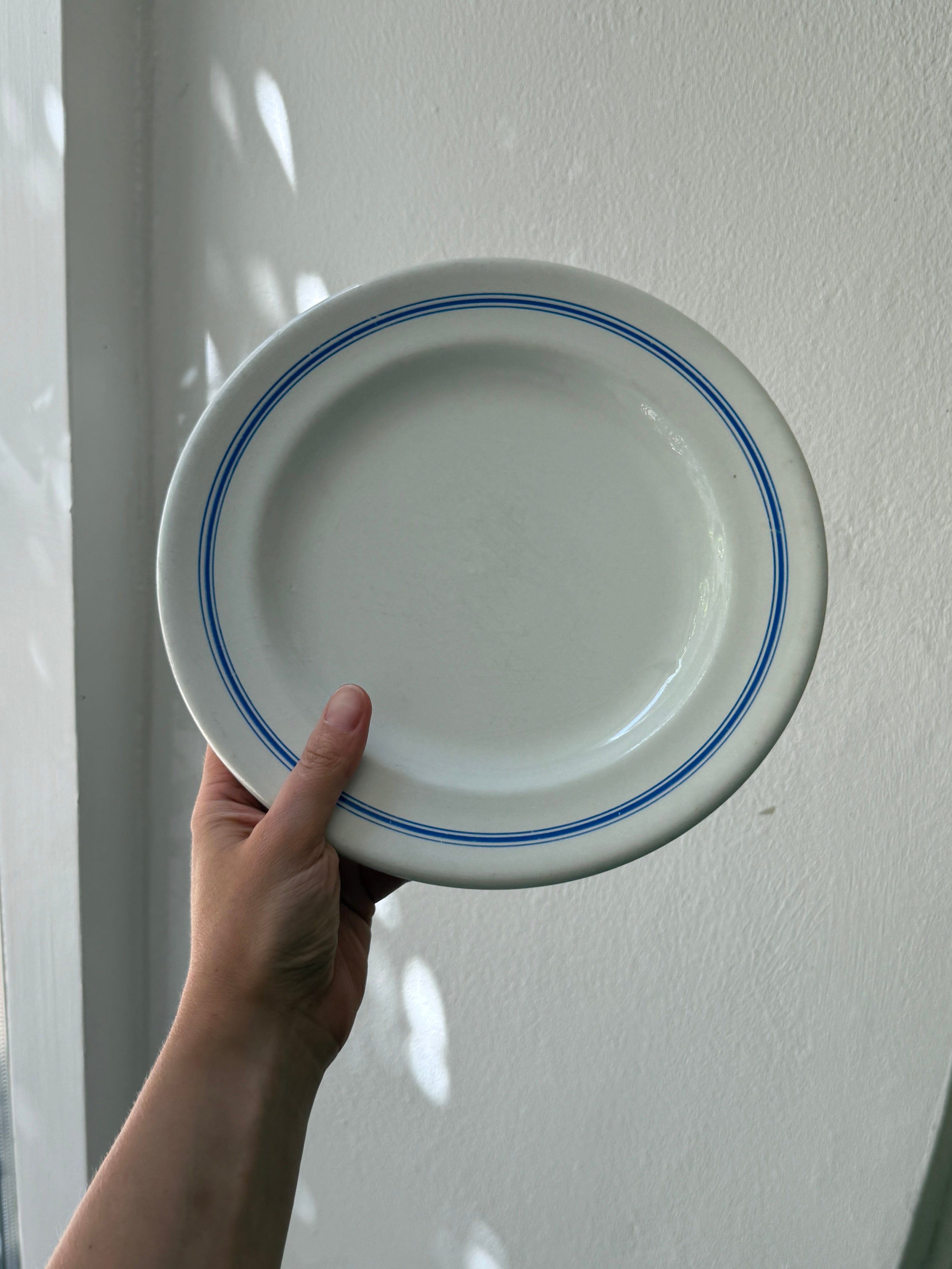 Blue striped dinner plates (6 pcs)