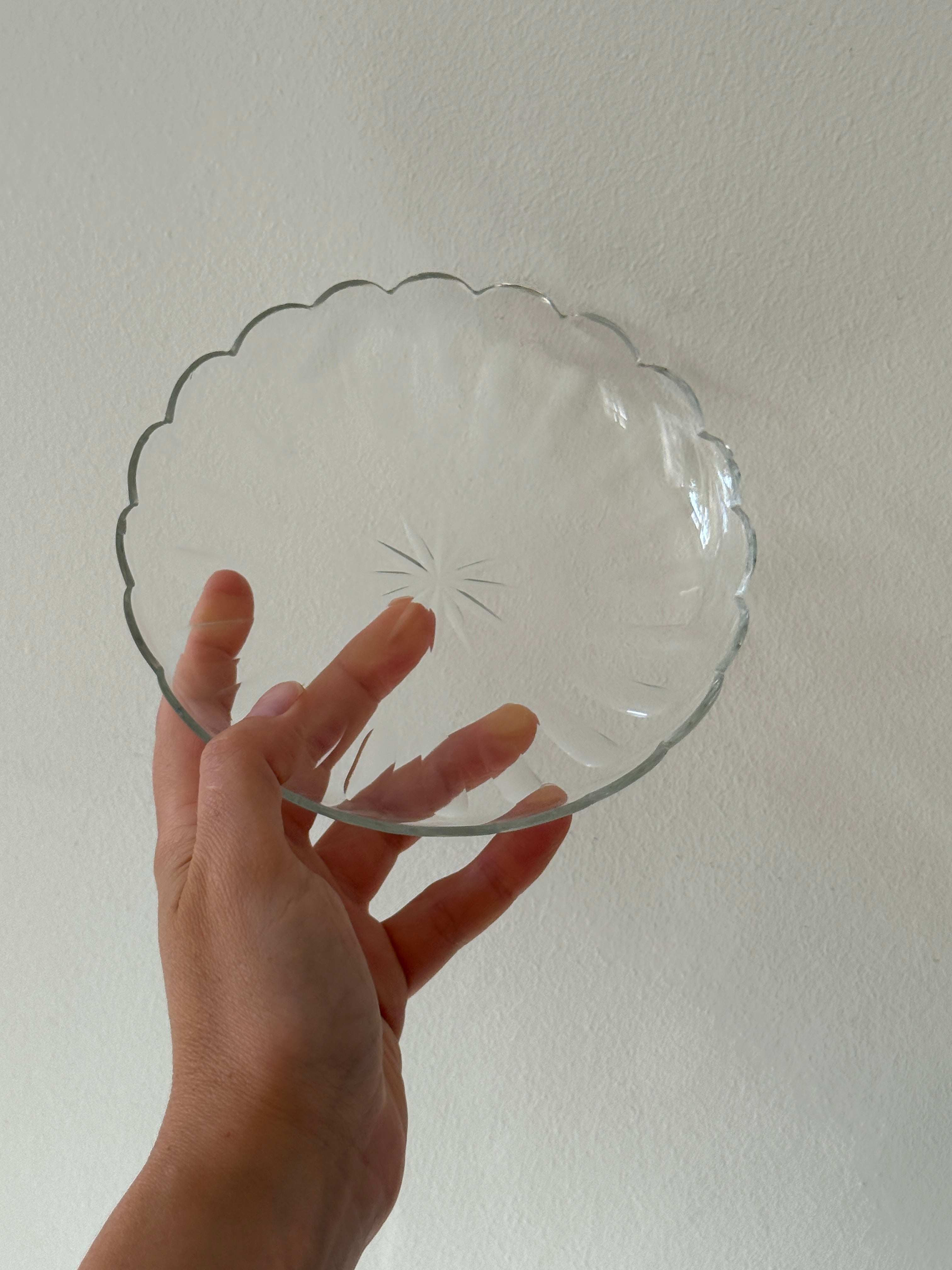Dessert plates (10 pcs)