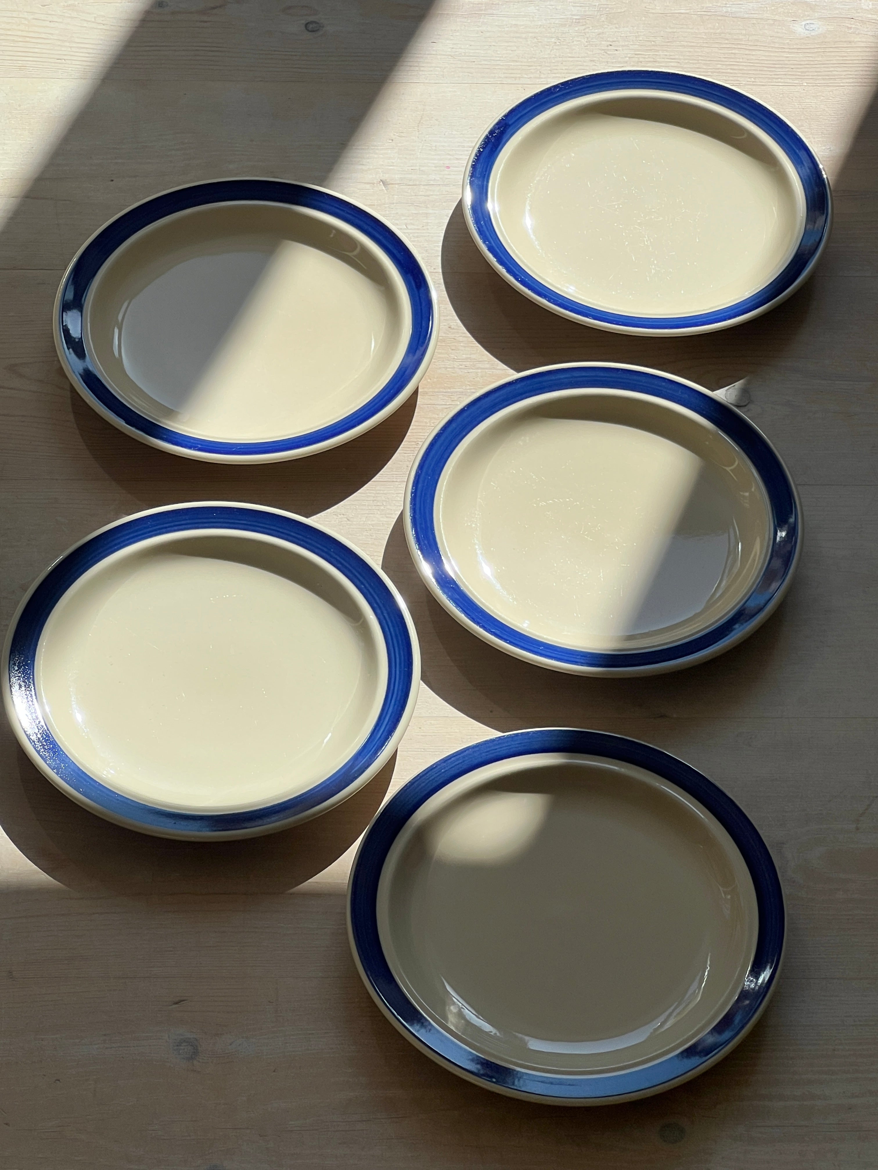 Blue striped lunch plates (10 pcs)