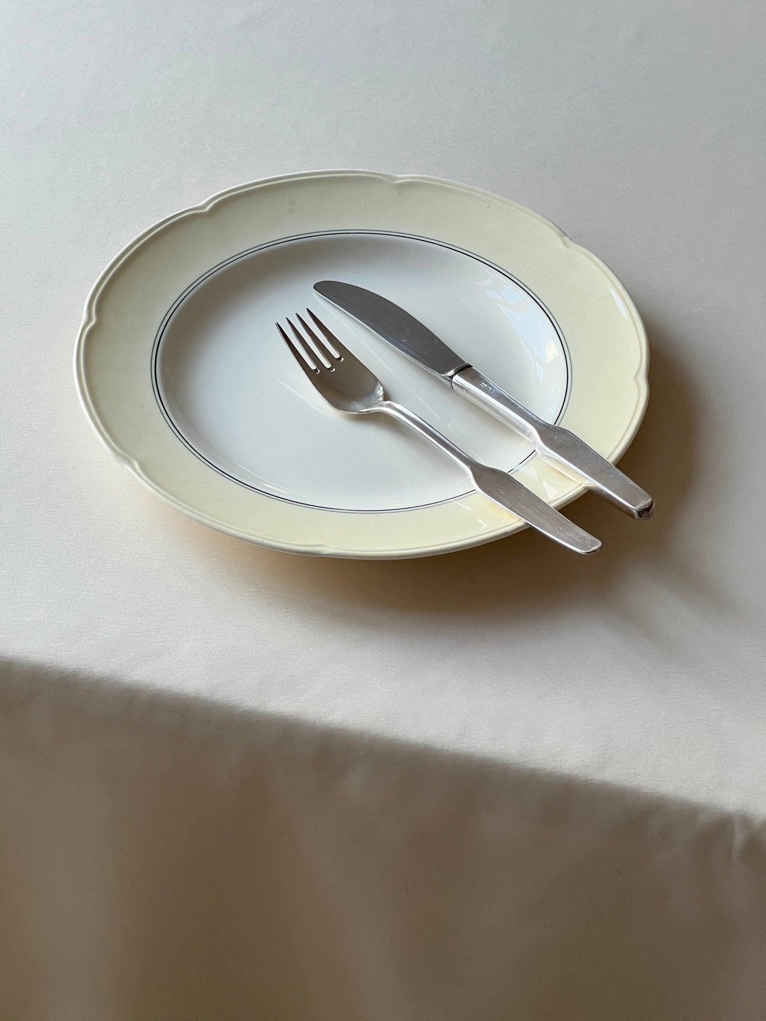 Aluminia dinner plate (1 pc) - NEROLI