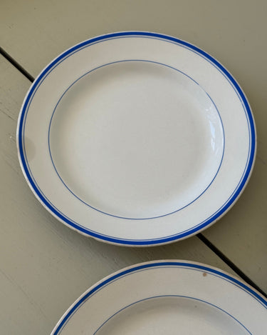 Aluminia dinner plates (6 pcs) - NEROLI