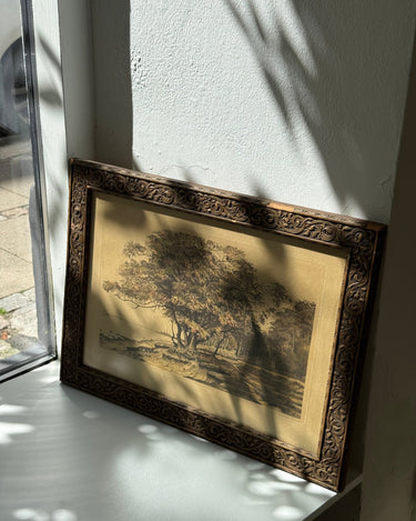 Antique etching - NEROLI