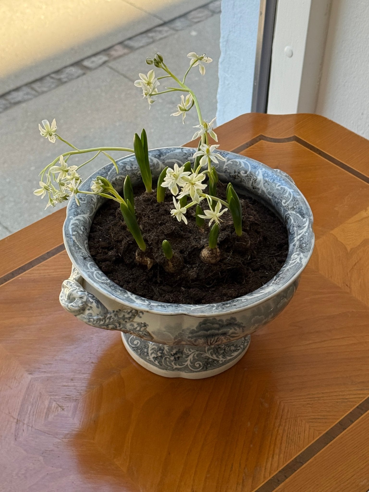 Antique tureen - NEROLI