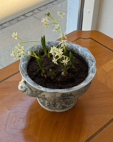 Antique tureen - NEROLI