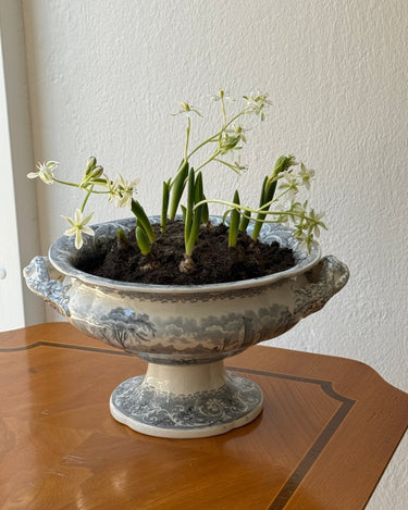 Antique tureen - NEROLI