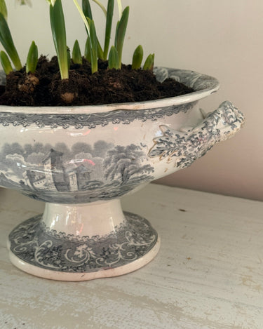 Antique tureen - NEROLI