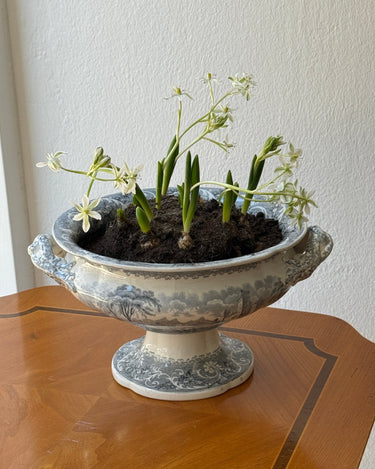 Antique tureen - NEROLI