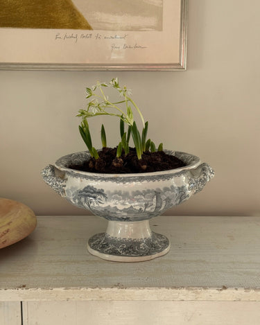 Antique tureen - NEROLI
