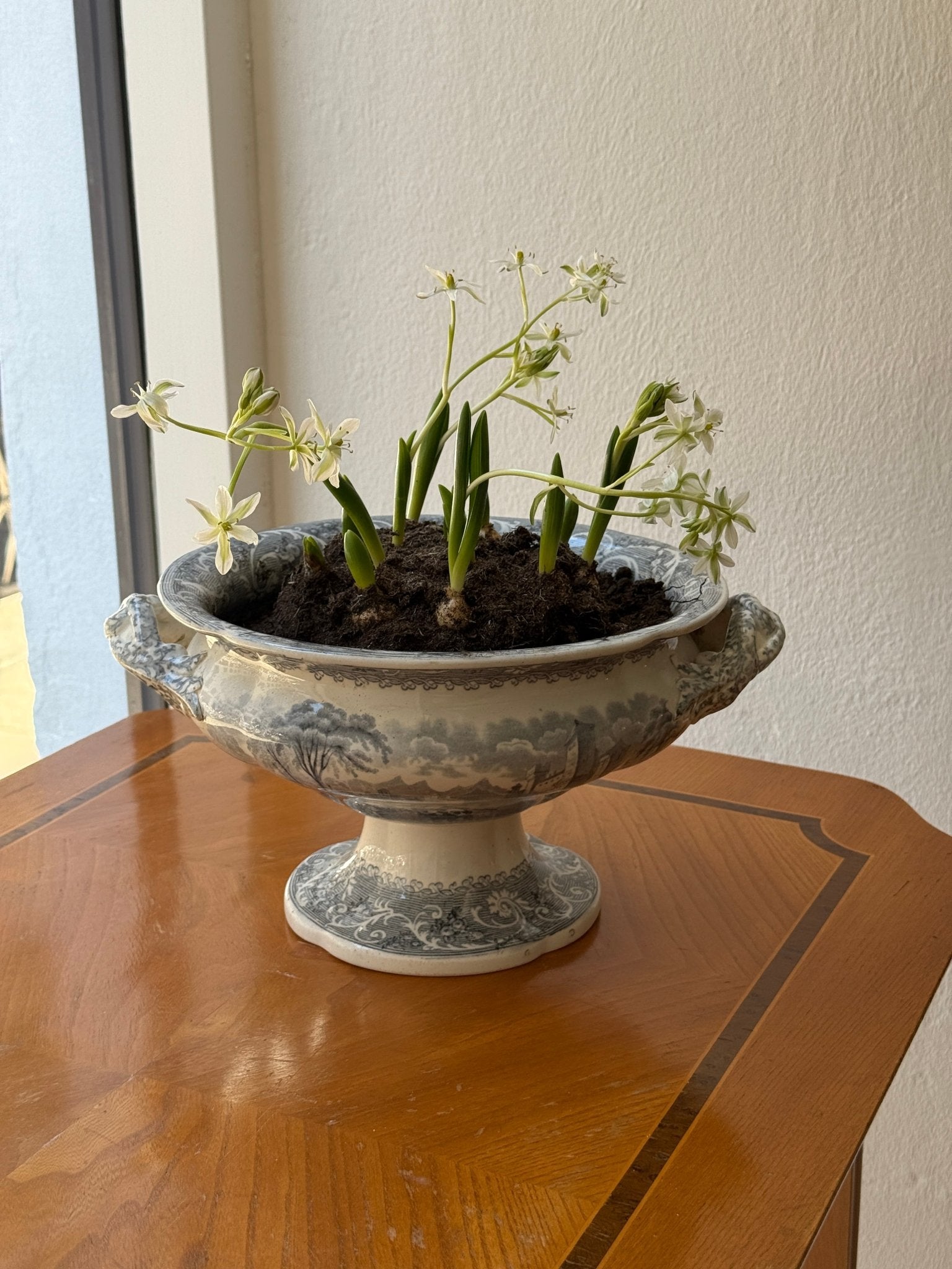 Antique tureen - NEROLI