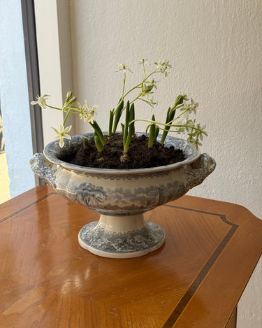 Antique tureen - NEROLI