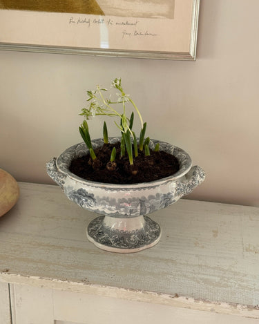 Antique tureen - NEROLI