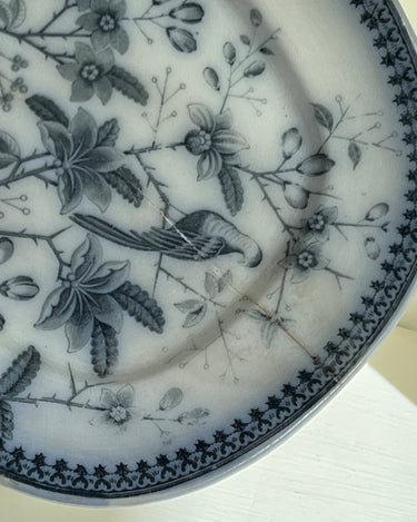 Antique V&B platter - NEROLI