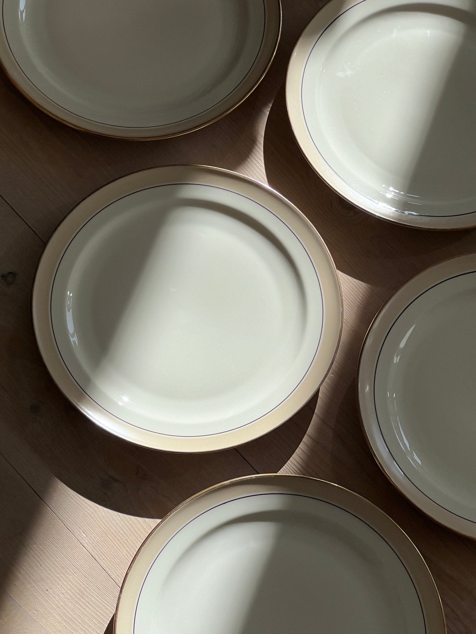 Beige stripe dinner plates (8 pcs) - NEROLI