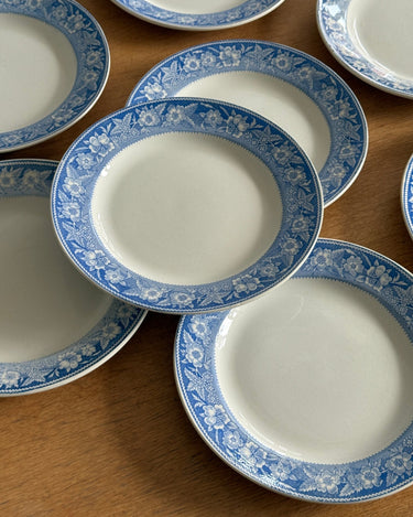 Blue floral dinner plates (10 pcs) - NEROLI