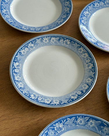 Blue floral dinner plates (10 pcs) - NEROLI