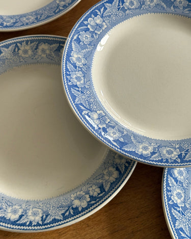 Blue floral dinner plates (10 pcs) - NEROLI