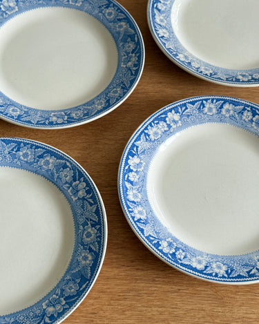 Blue floral dinner plates (10 pcs) - NEROLI