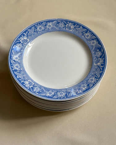 Blue floral dinner plates (10 pcs) - NEROLI