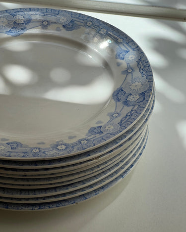 Blue floral dinner plates (7 pcs) - NEROLI