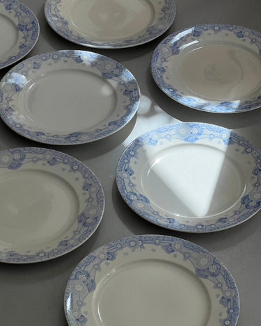 Blue floral dinner plates (7 pcs) - NEROLI