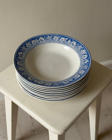 Blue floral pasta plates (10 pcs) - NEROLI