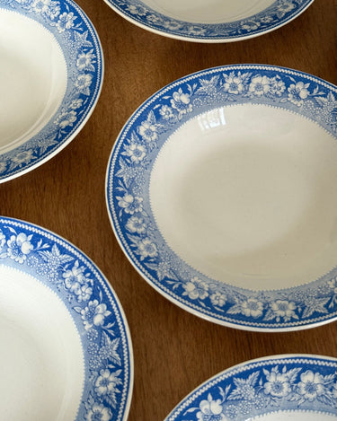 Blue floral pasta plates (10 pcs) - NEROLI