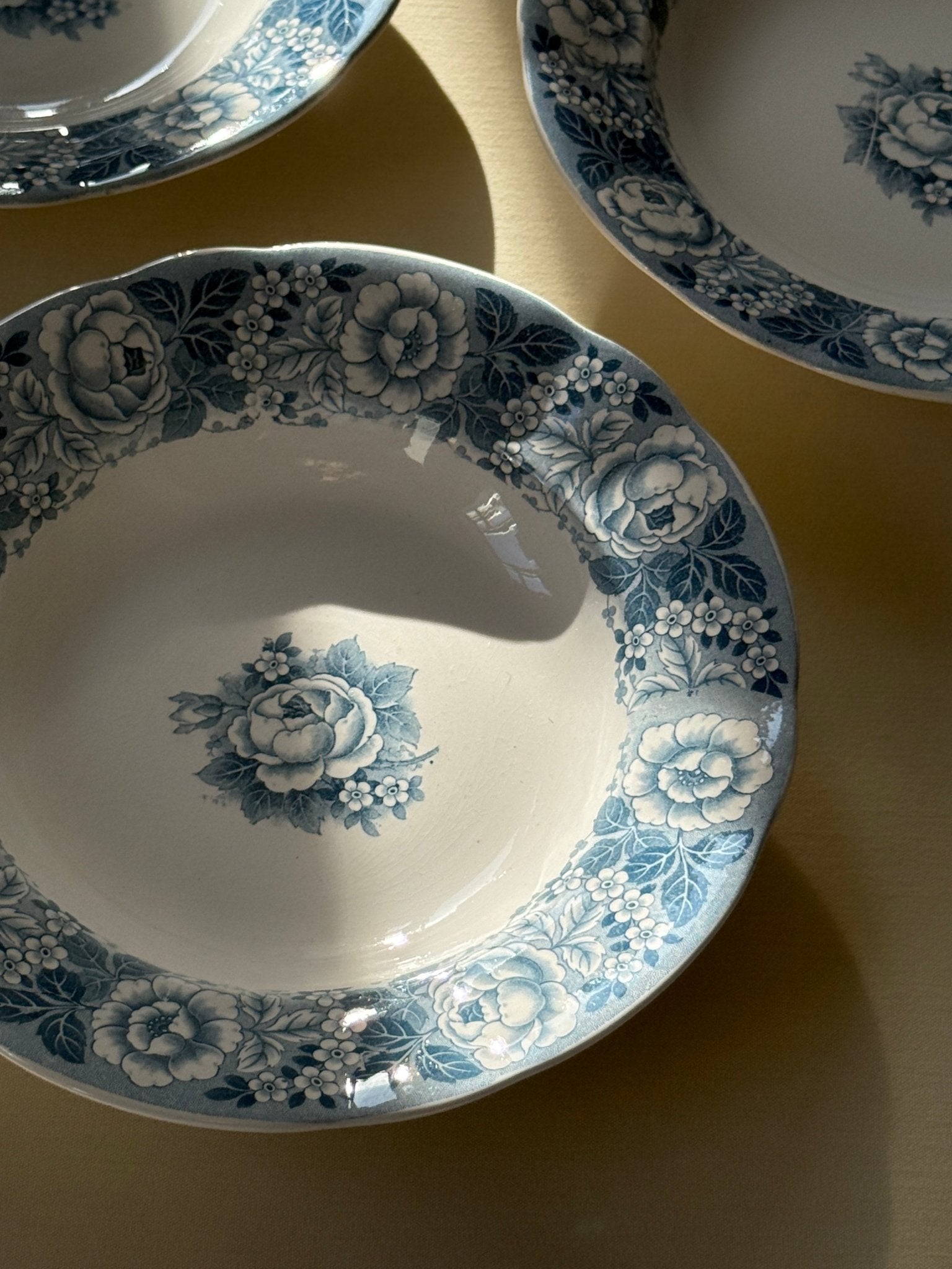 Blue floral pasta plates (12 pcs) - NEROLI