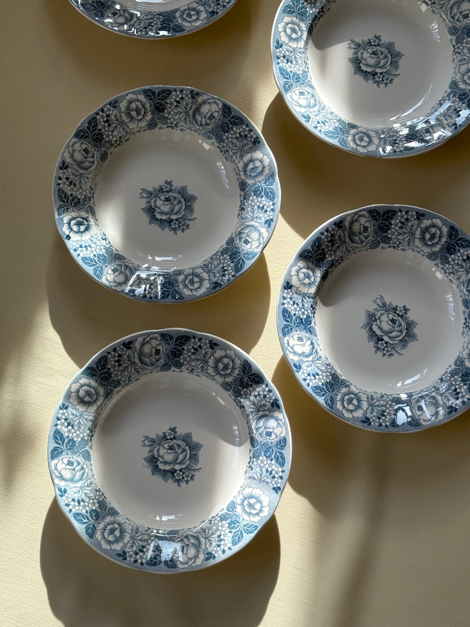 Blue floral pasta plates (12 pcs) - NEROLI