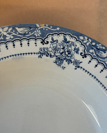 Blue floral pasta plates (9 pcs) - NEROLI