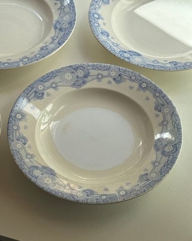 Blue floral pasta plates (9 pcs) - NEROLI