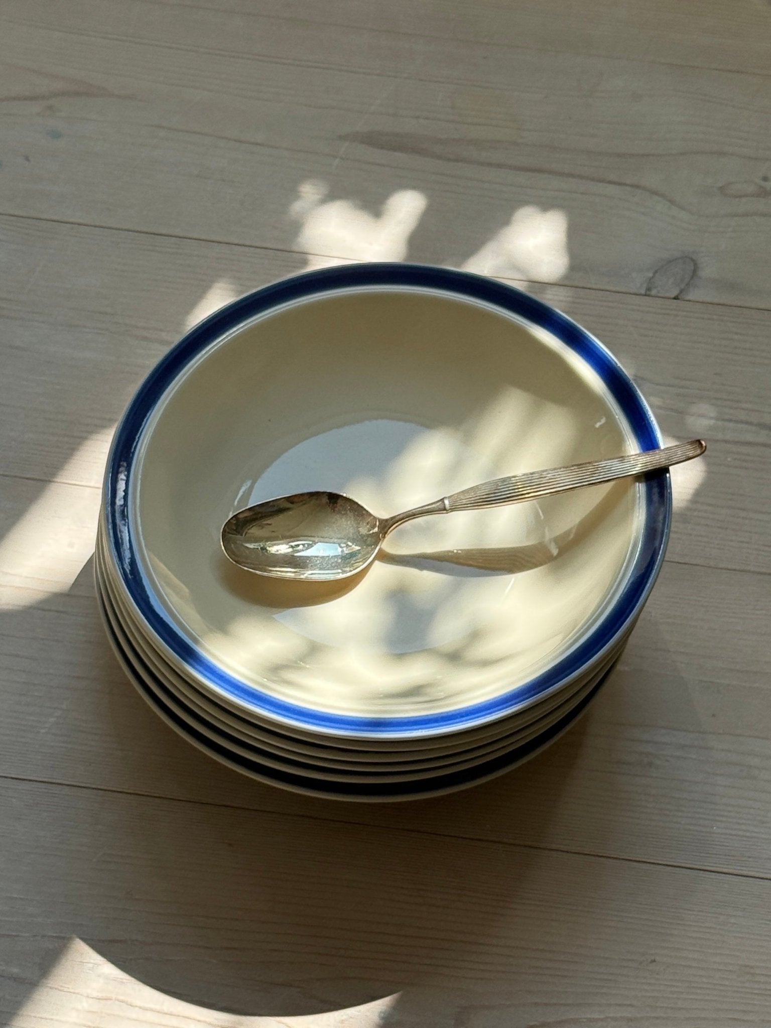Blue rim pasta plates (6 pcs) - NEROLI