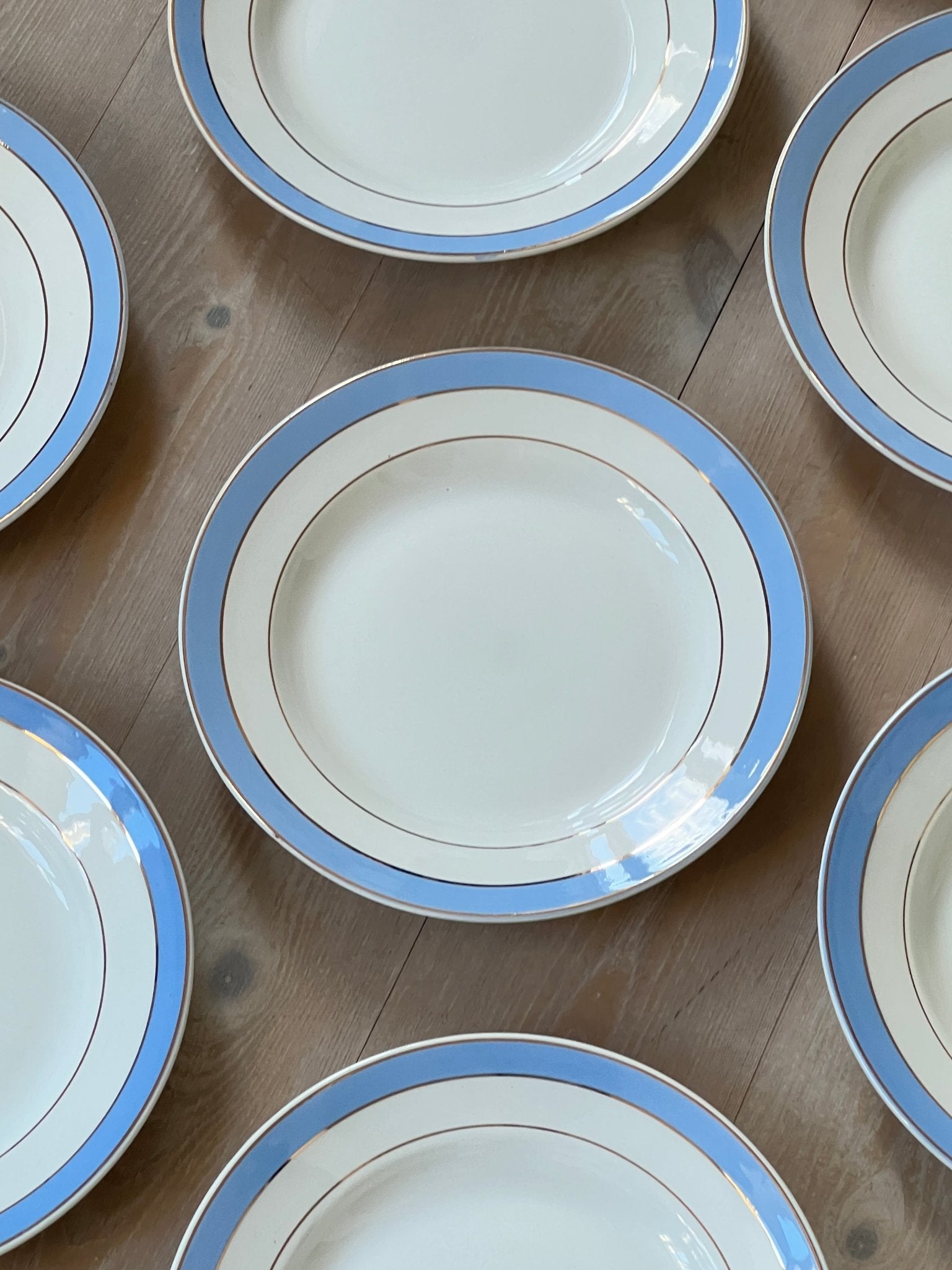 Blue stripe dinner plates (7 pcs) - NEROLI