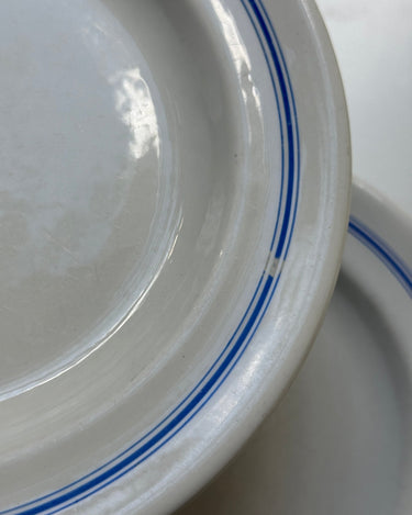 Blue striped dinner plates (6 pcs) - NEROLI