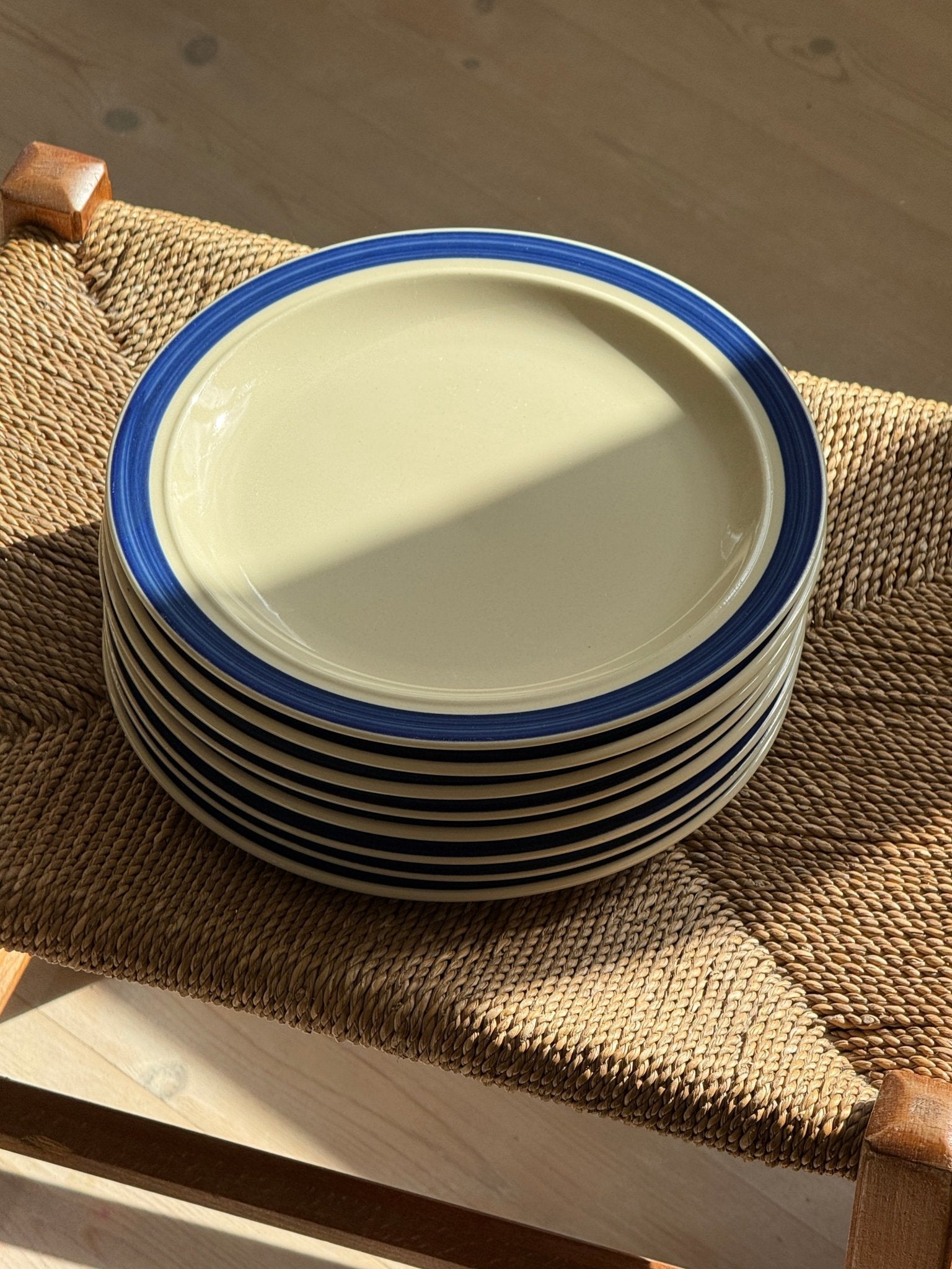 Blue striped dinner plates (8 pcs) - NEROLI