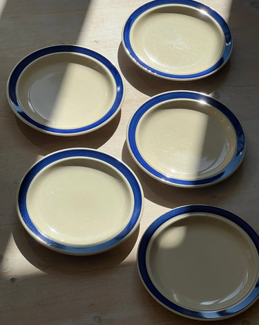 Blue striped lunch plates (10 pcs) - NEROLI