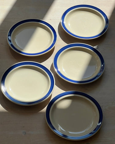 Blue striped lunch plates (10 pcs) - NEROLI