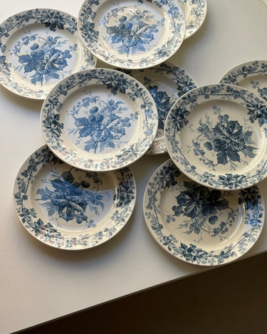 Brombere cake plates (10 pcs) - NEROLI