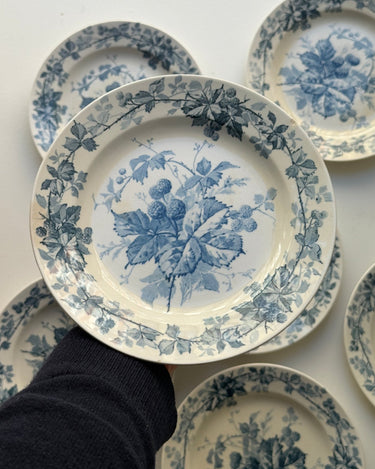 Brombere cake plates (10 pcs) - NEROLI