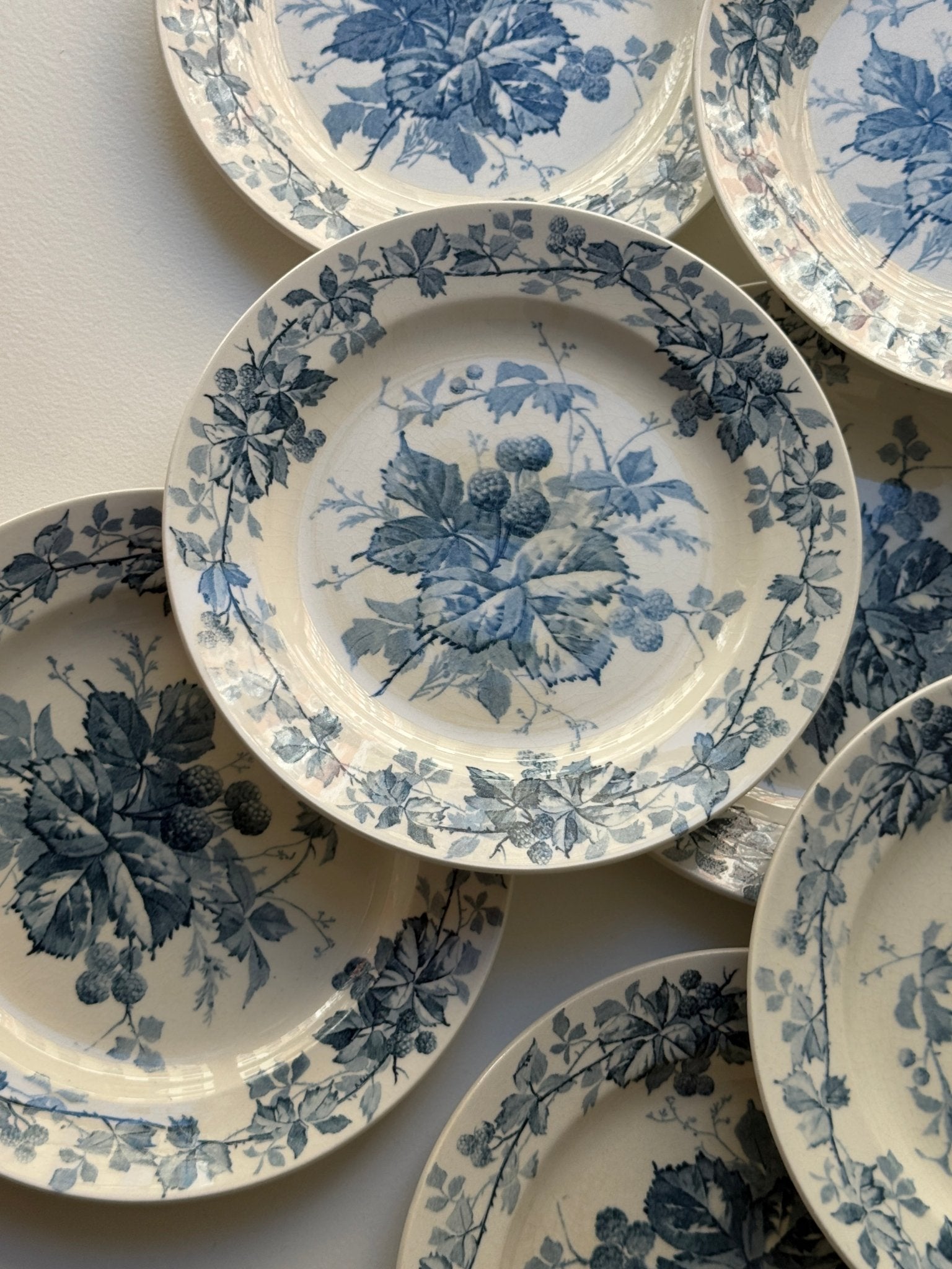 Brombere cake plates (10 pcs) - NEROLI