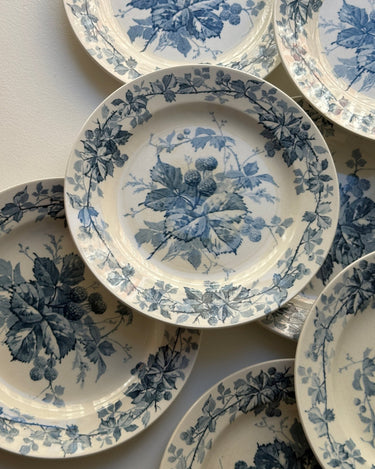 Brombere cake plates (10 pcs) - NEROLI