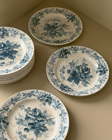Brombere cake plates (10 pcs) - NEROLI
