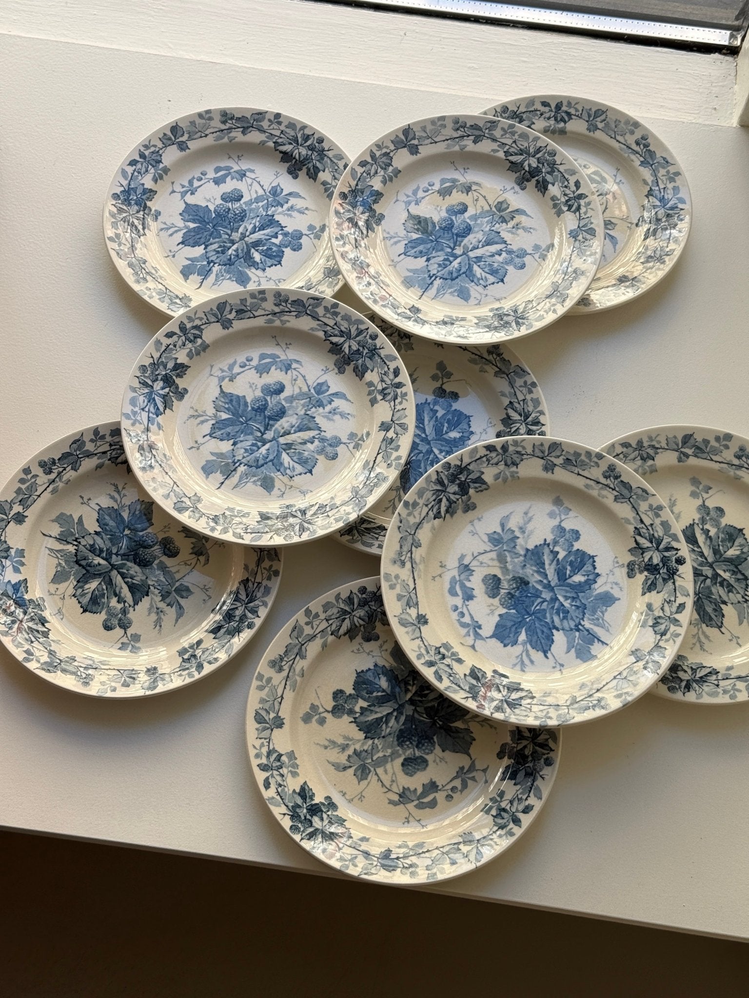 Brombere cake plates (10 pcs) - NEROLI