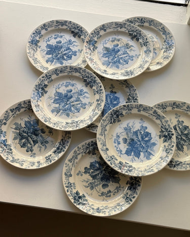 Brombere cake plates (10 pcs) - NEROLI