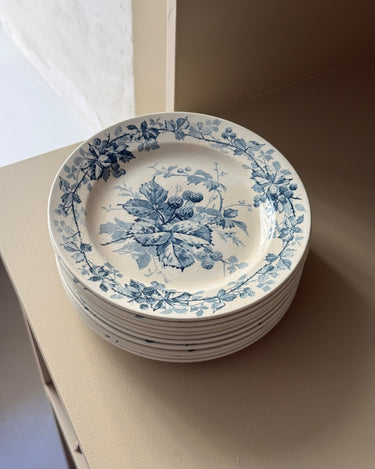 Brombere cake plates (10 pcs) - NEROLI