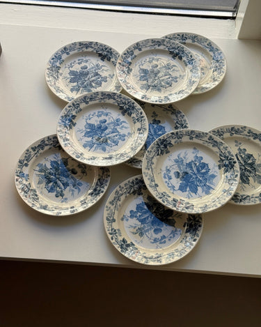 Brombere cake plates (10 pcs) - NEROLI