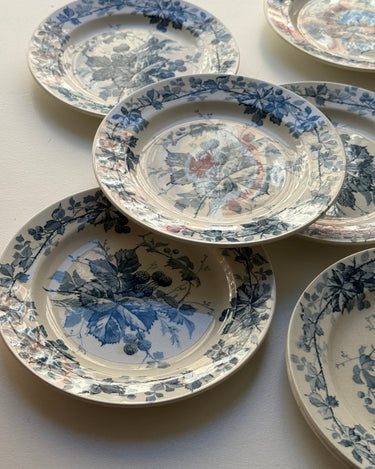 Brombere cake plates (10 pcs) - NEROLI
