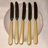 Butter - coloured knives (6 pcs) - NEROLI