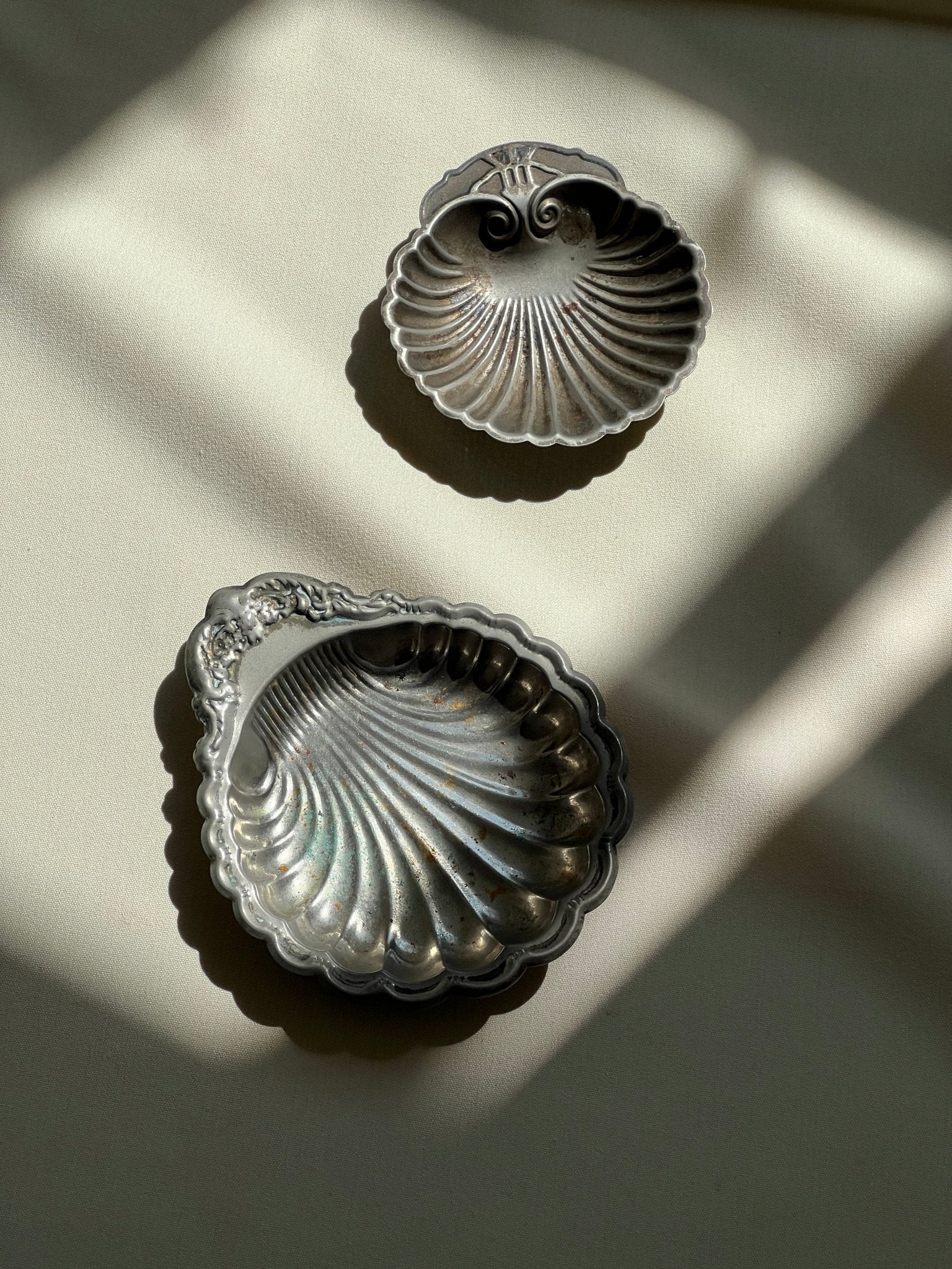 Clam dish - NEROLI